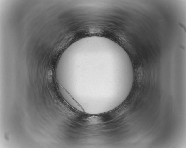 X0000101660269200807311442