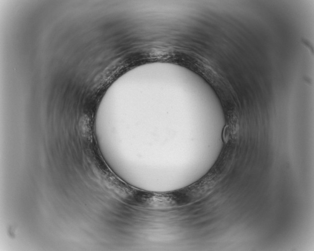 X0000101660270200807311442