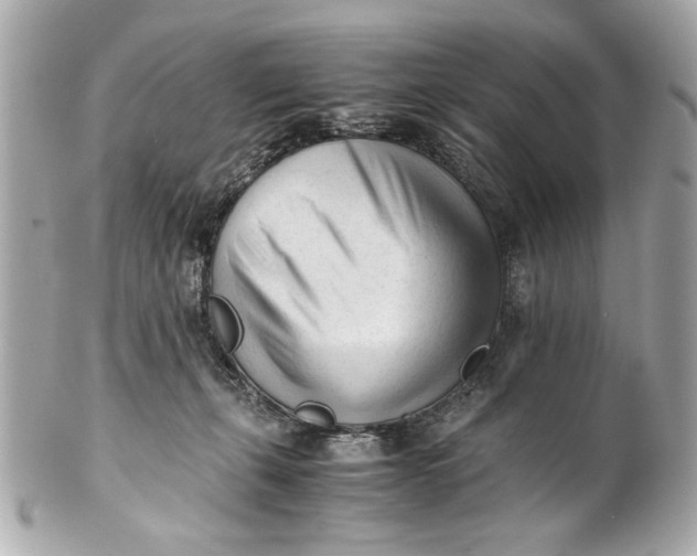 X0000101660271200807311442