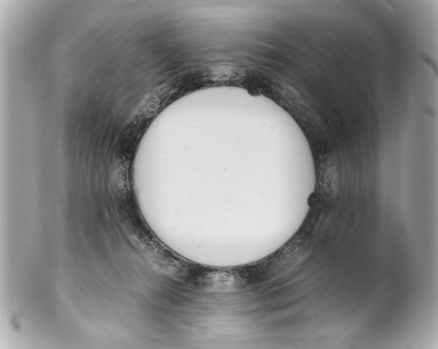 X0000101660272200807311442