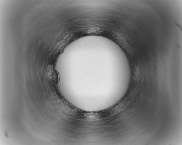 X0000101660273200807311442