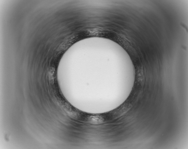 X0000101660275200807311442