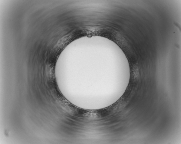 X0000101660276200807311442