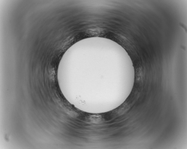 X0000101660279200807311442