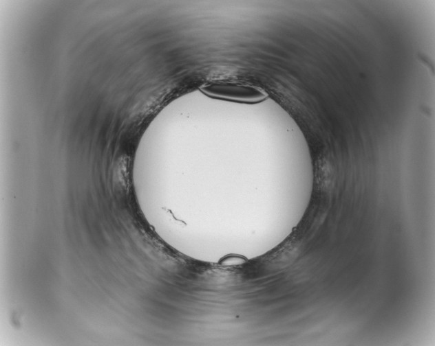 X0000101660280200807311442