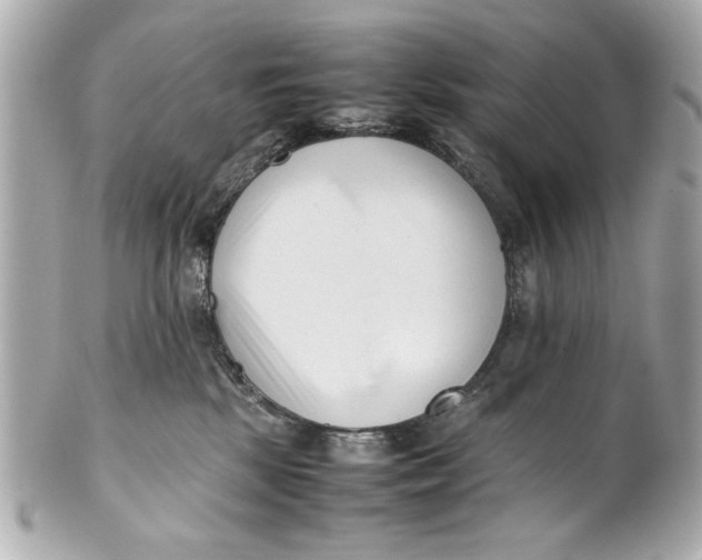 X0000101660281200807311442