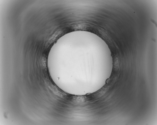 X0000101660282200807311442