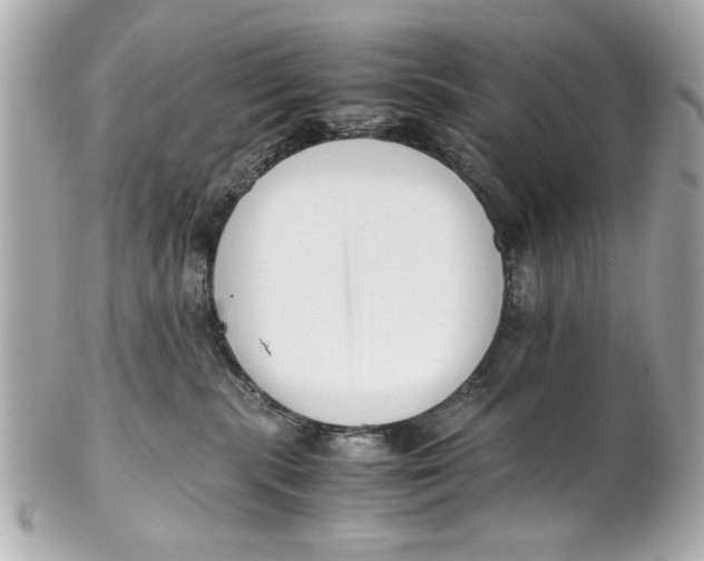 X0000101660283200807311442