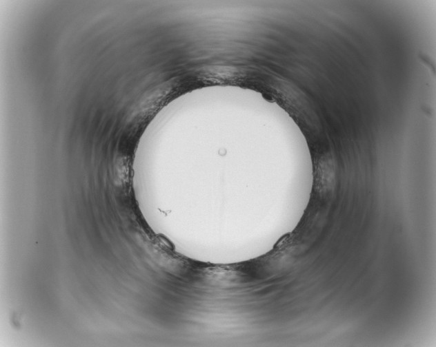 X0000101660284200807311442