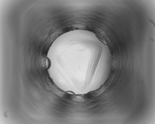 X0000101660285200807311442