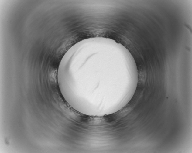 X0000101660286200807311442