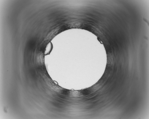 X0000101660287200807311442