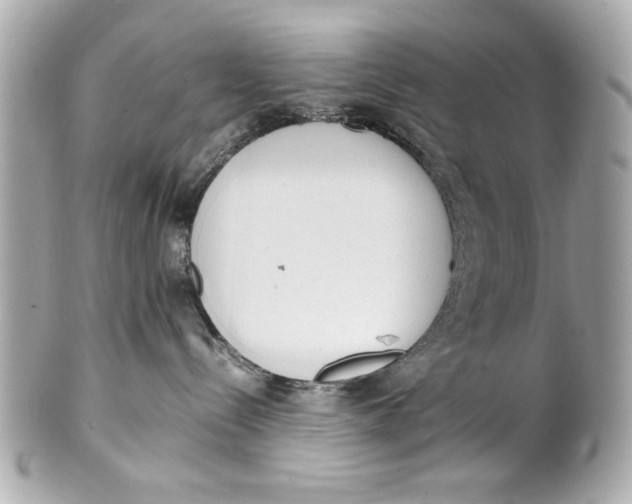 X0000101660288200807311442