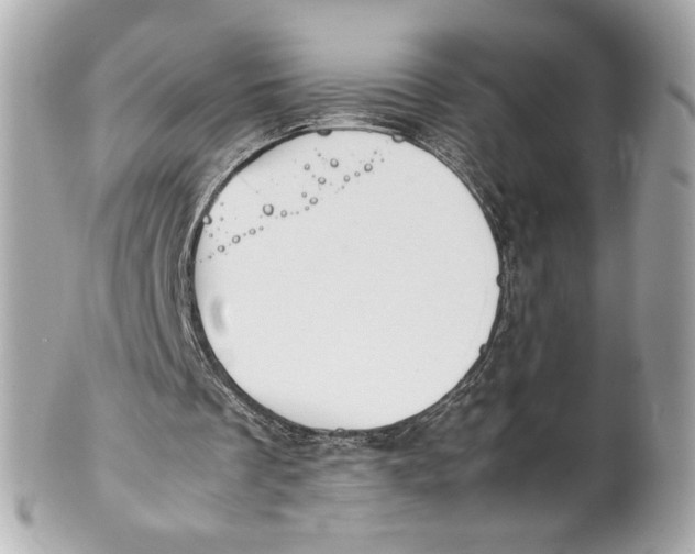 X0000101660289200807311441