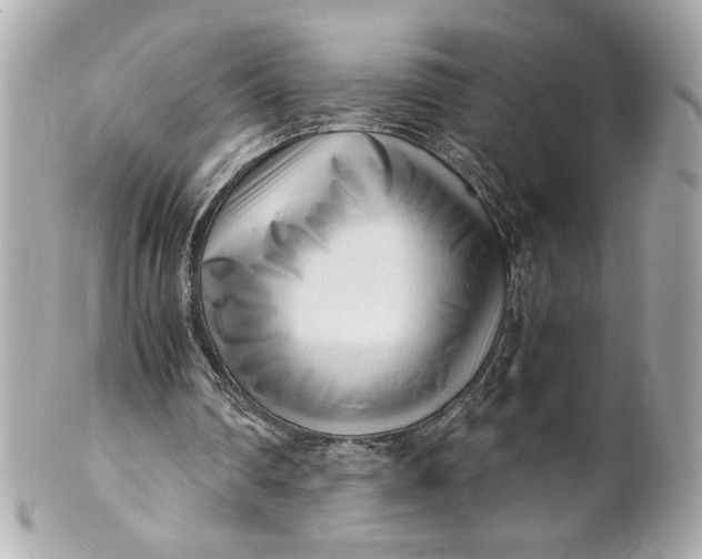 X0000101660290200807311441