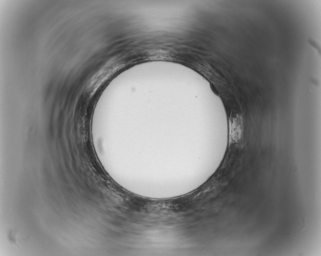 X0000101660291200807311441