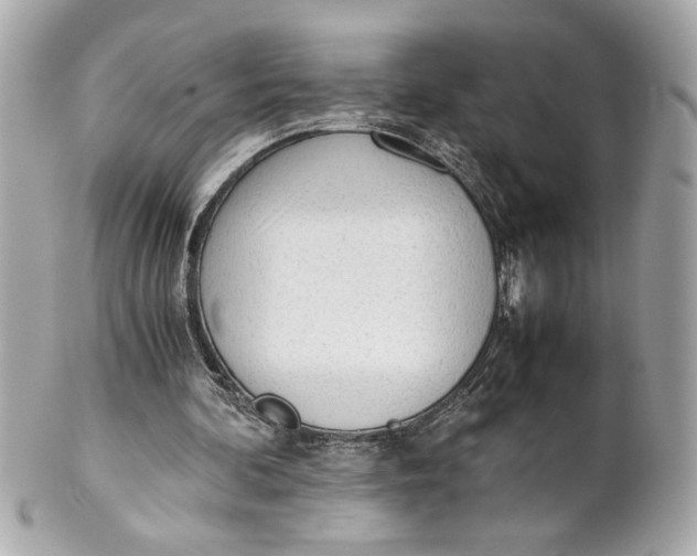 X0000101660292200807311441