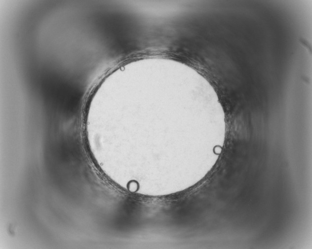 X0000101660293200807311441