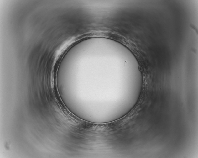 X0000101660294200807311441