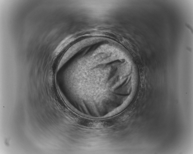 X0000101660295200807311441