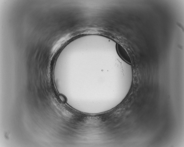 X0000101660296200807311441