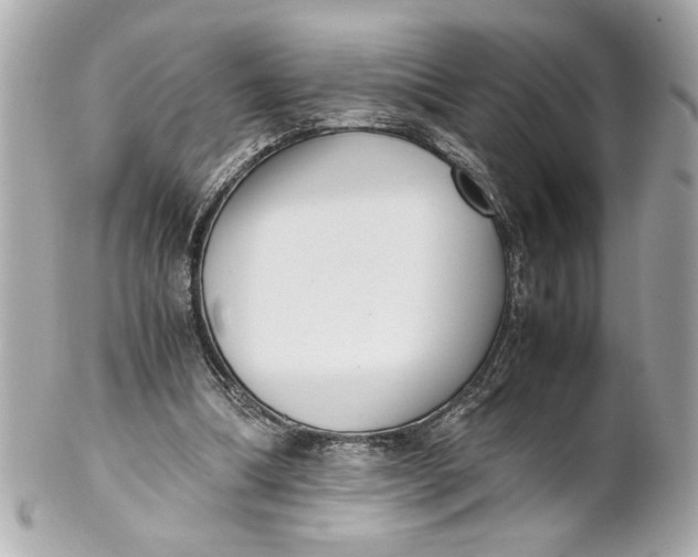 X0000101660298200807311441