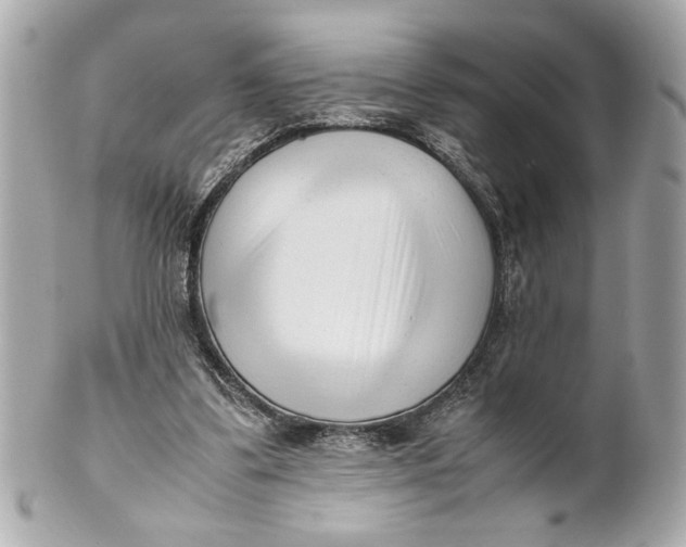 X0000101660299200807311441