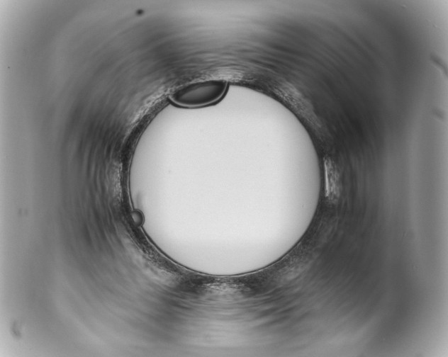 X0000101660300200807311441