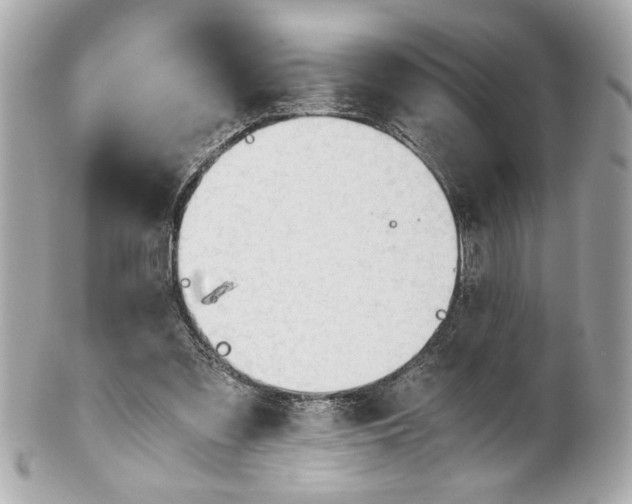 X0000101660301200807311441