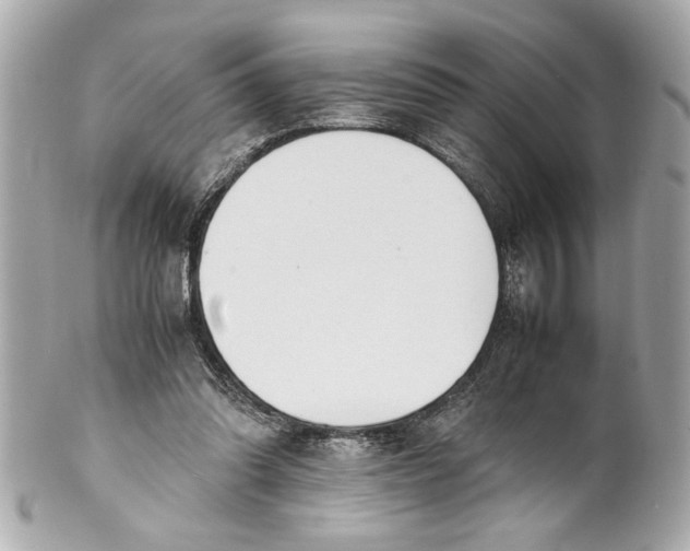 X0000101660302200807311441