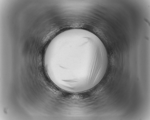 X0000101660303200807311441