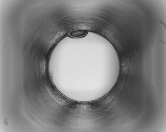 X0000101660304200807311441