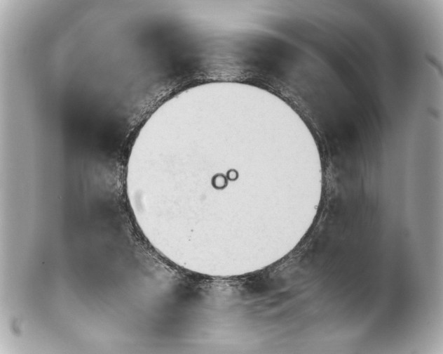 X0000101660305200807311441