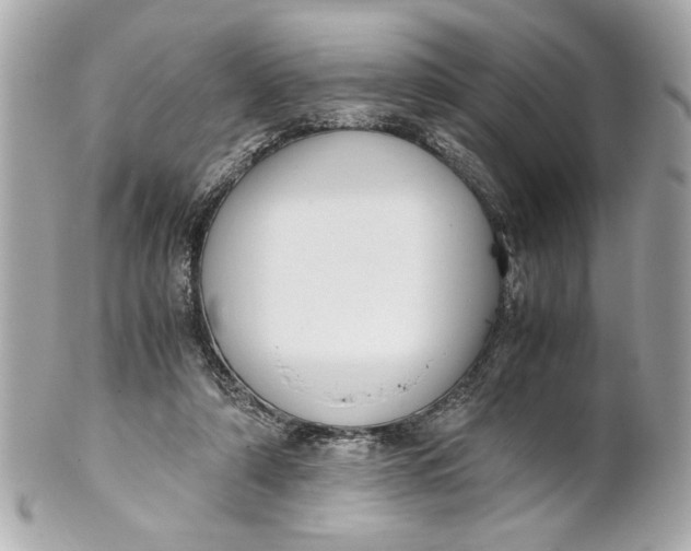 X0000101660306200807311441