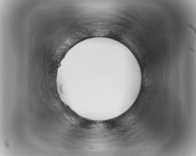 X0000101660307200807311441