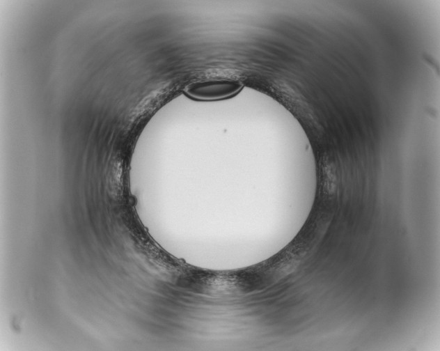 X0000101660308200807311441