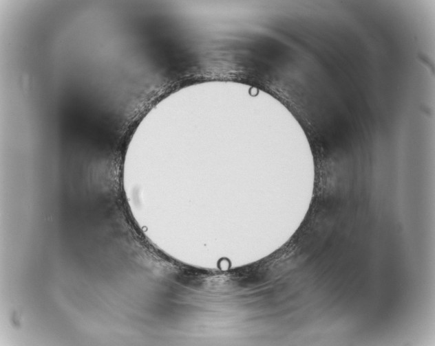 X0000101660309200807311441