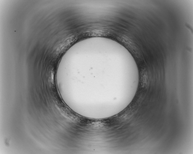 X0000101660310200807311441