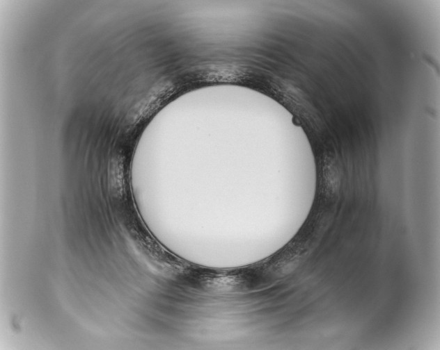 X0000101660312200807311441