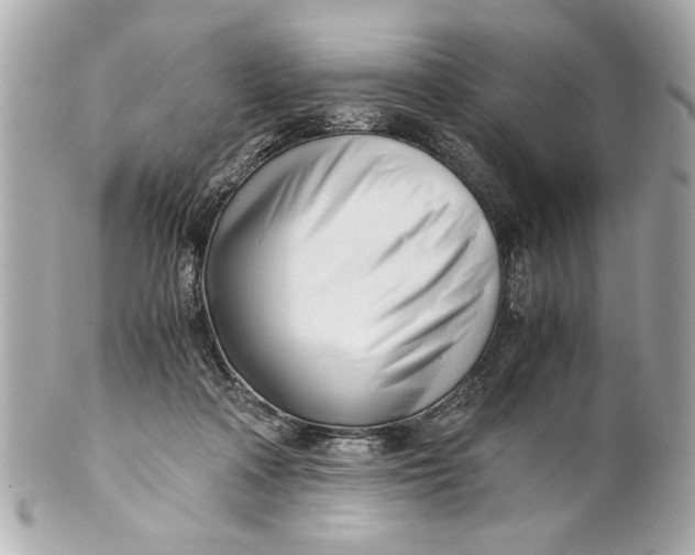 X0000101660314200807311441