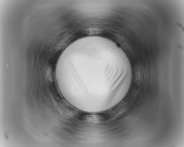 X0000101660316200807311441