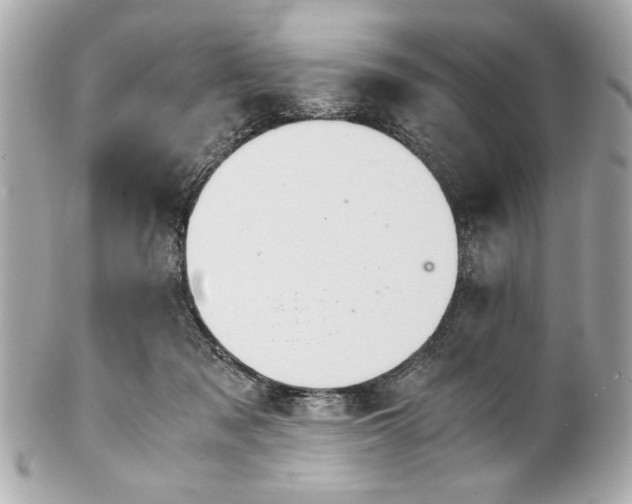 X0000101660317200807311441