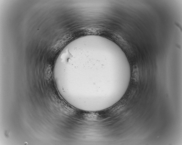 X0000101660318200807311441