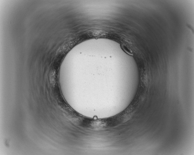 X0000101660319200807311441