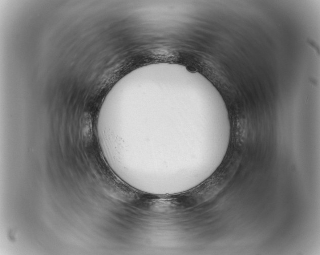 X0000101660320200807311441