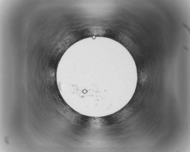 X0000101660321200807311441