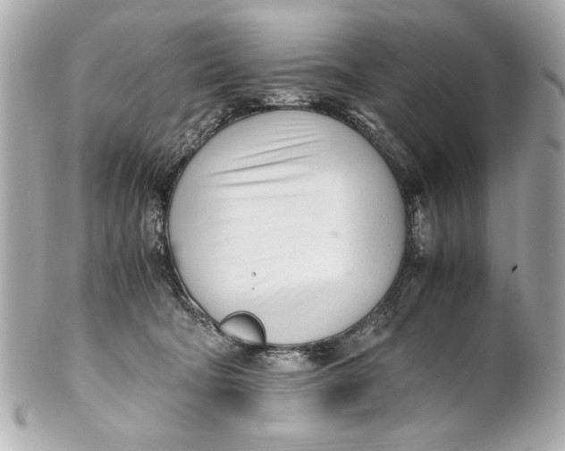 X0000101660322200807311441