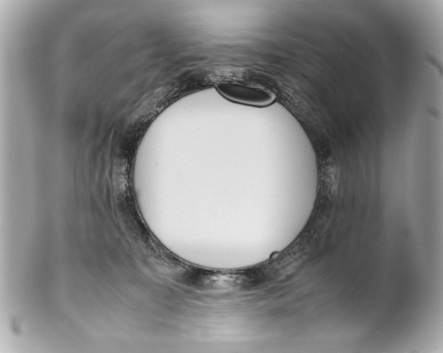 X0000101660323200807311441