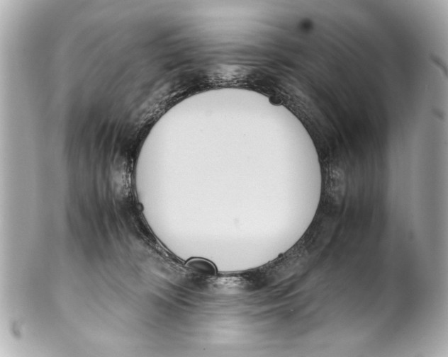 X0000101660324200807311441