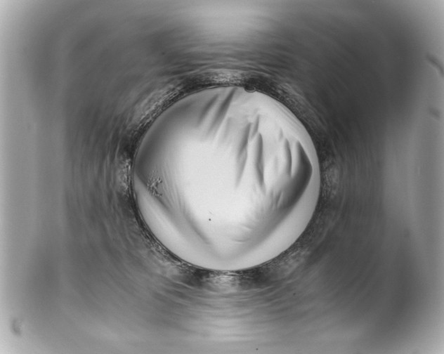 X0000101660325200807311441